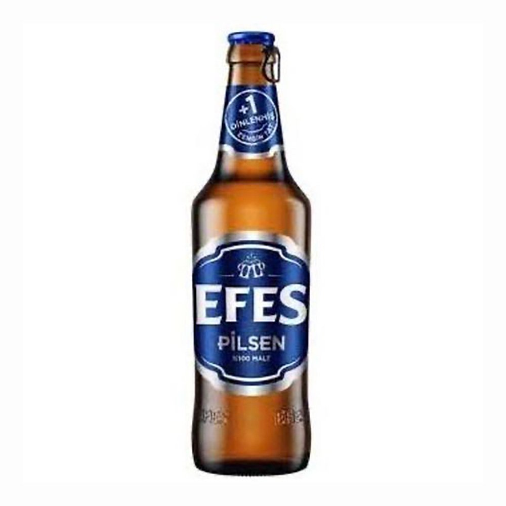 EFES PİLSEN (33CL)
